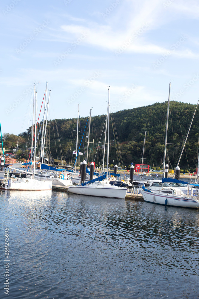 View of white yachts moored at wharf