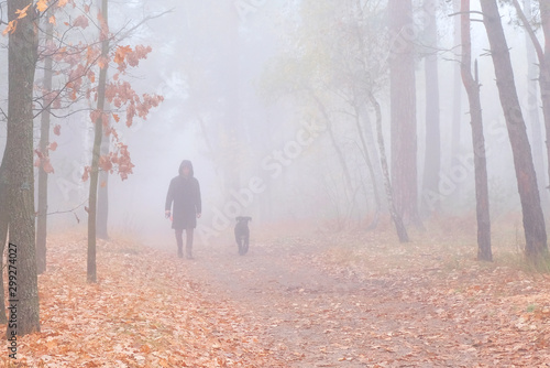 man in the fog among the trees in the forest