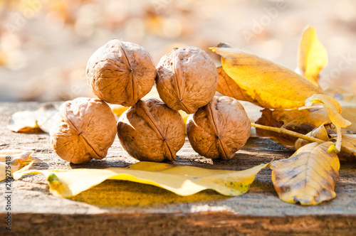 Valokuva Walnuts and fallen walnut leaves on an old rustic wooden table