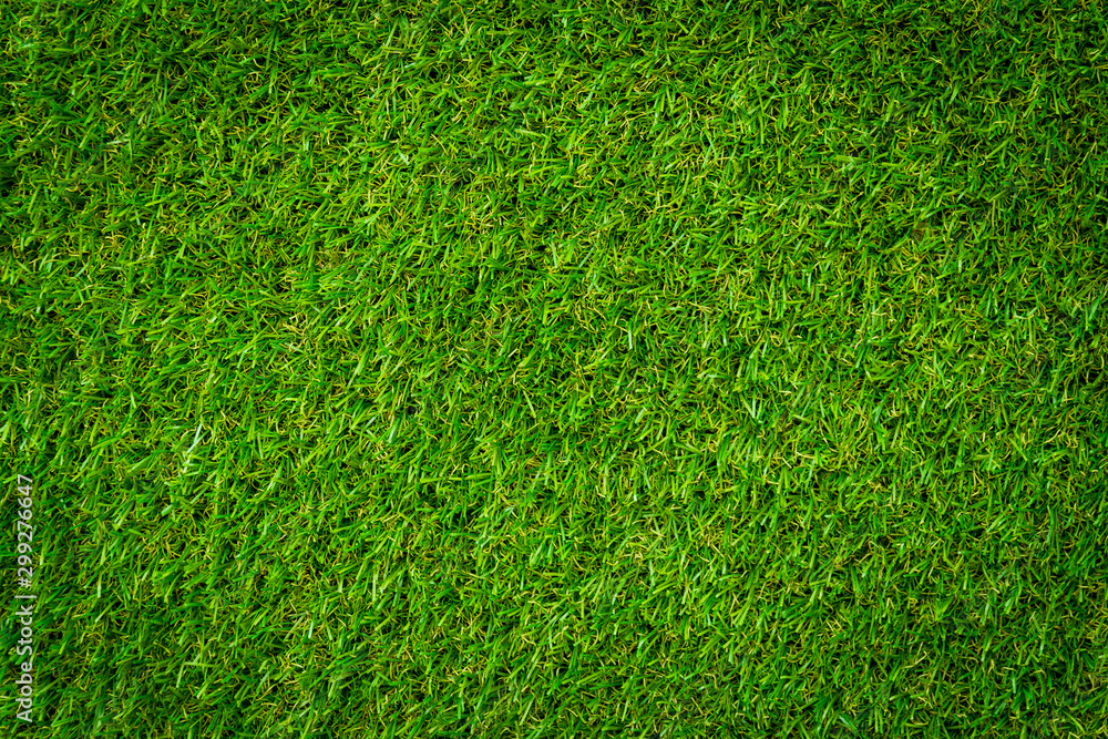 Obraz premium green grass texture background