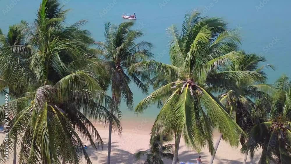 Tropical Seashore with People Relaxing on the Beach. Aerial View Tropical Seashore with People Relaxing on the Beach. Aerial View
