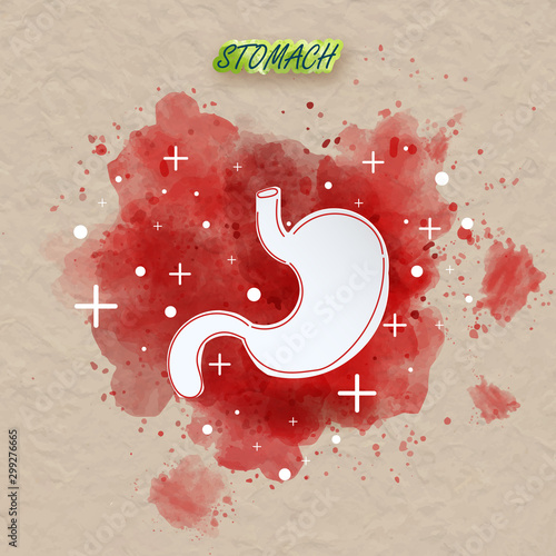 Human stomach water brush style. Water brush stomach on paper texture background vector for web design on white.Vector illustrator