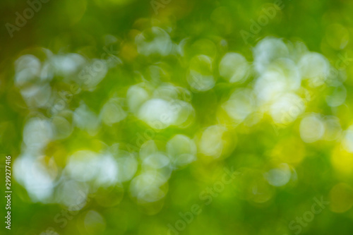 Natural green bokeh abstract background