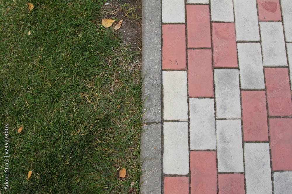 photo close-up in half green fresh grass on the lawn and paving slabs