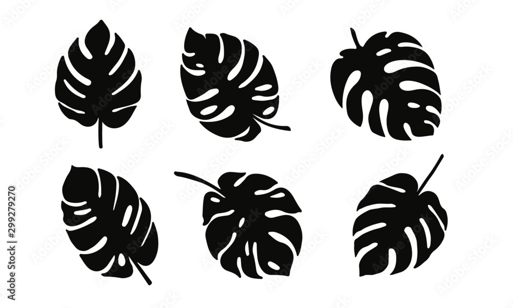 Set of black silhouettes of tropical leaves. Monstera - obrazy, fototapety, plakaty 
