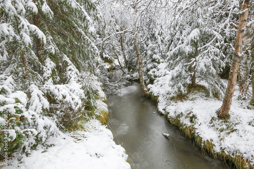 First snowfall photo