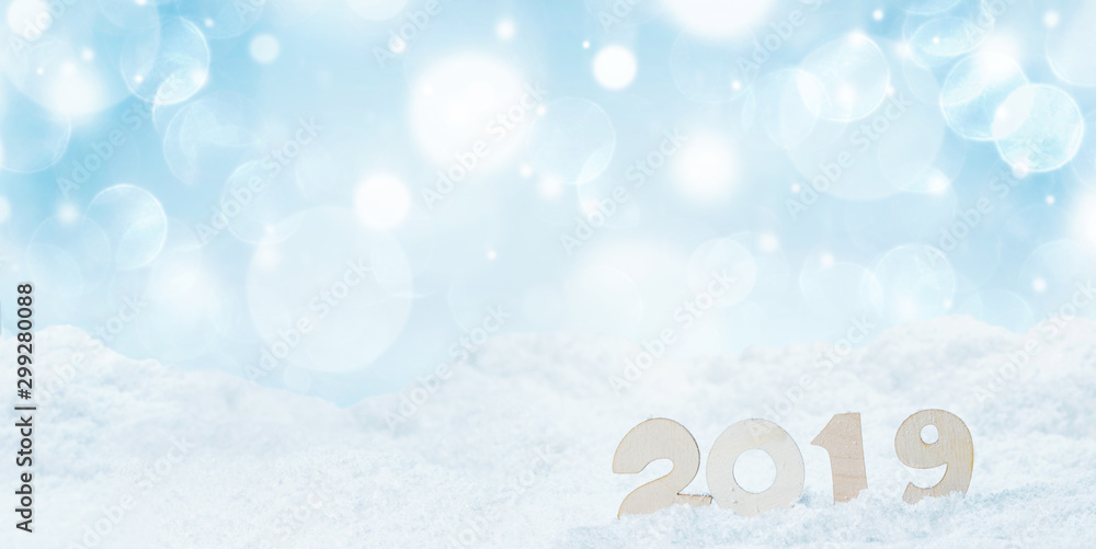 2019 New Year in snow