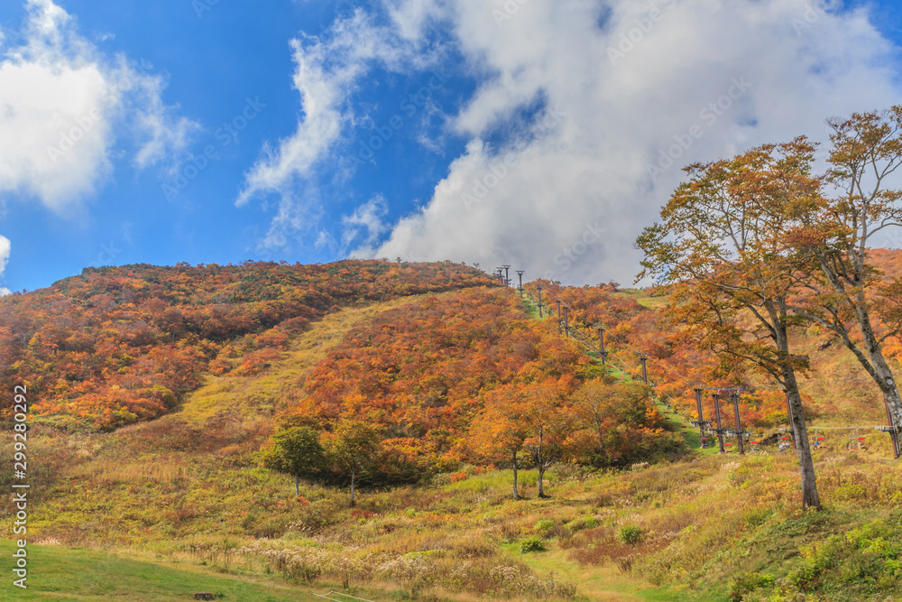 秋の天神平からみた風景 秋の天神平からみた風景