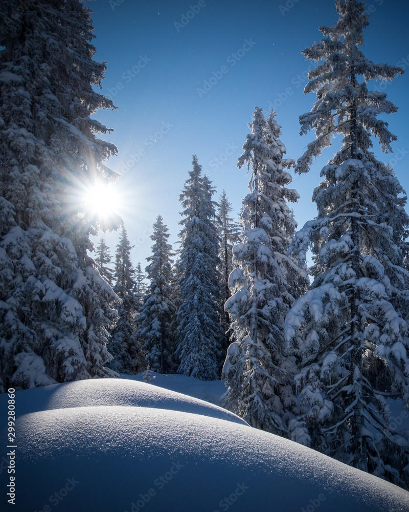 Frisch verschneite Winterlandschaft in den Alpen (Vorarlberg, Österreich, Muttjöchle) - obrazy, fototapety, plakaty 