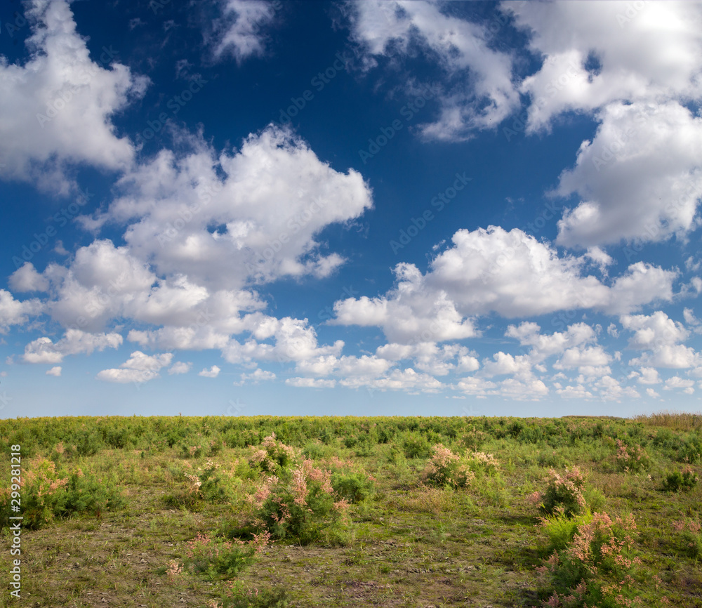 The Steppe of Dagestan