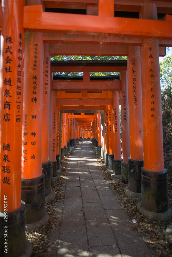 Torii gates in Fushimi Inari Shrine, Kyoto, Japan Torii gates in Fushimi Inari Shrine, Kyoto, Japan