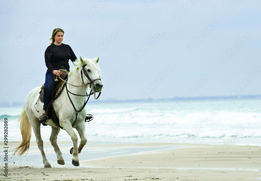 riding girl and horse riding girl and horse