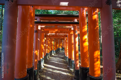 Torii gates in Fushimi Inari Shrine, Kyoto, Japan 