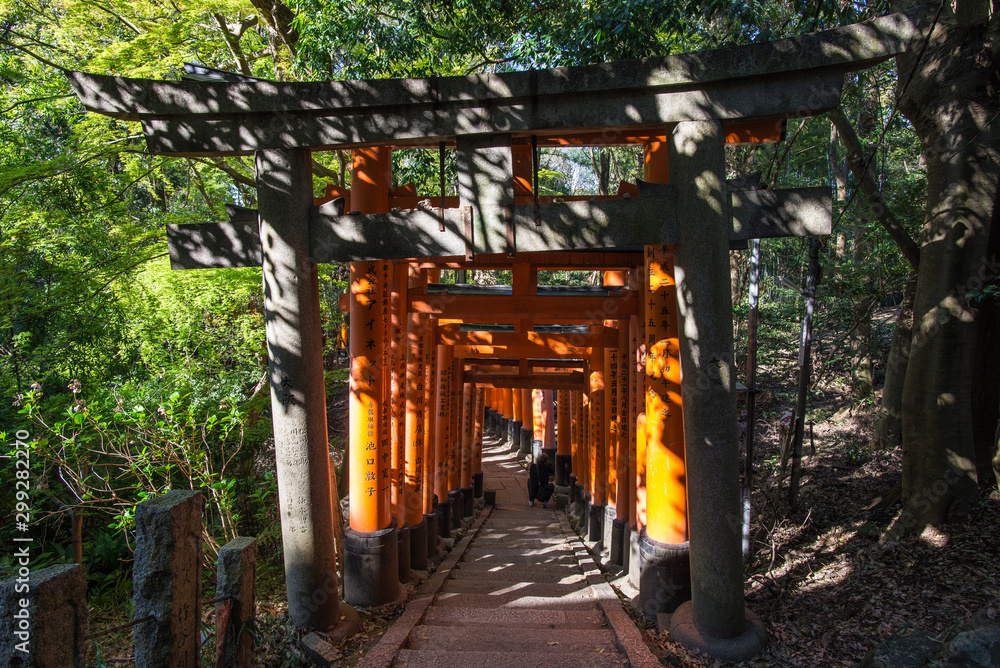 Torii gates in Fushimi Inari Shrine, Kyoto, Japan Torii gates in Fushimi Inari Shrine, Kyoto, Japan