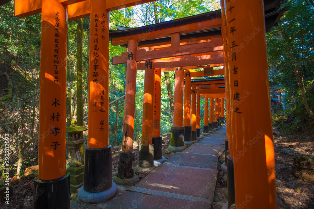 Torii gates in Fushimi Inari Shrine, Kyoto, Japan Torii gates in Fushimi Inari Shrine, Kyoto, Japan