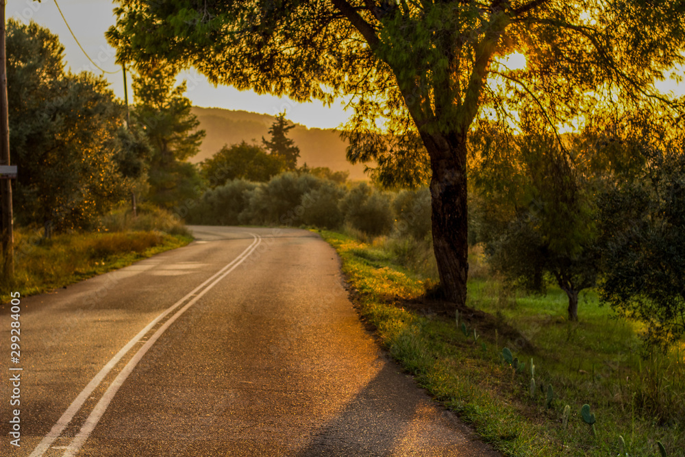 rural road country side space in dramatic bright orange sunset lighting 