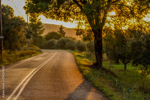 rural road country side space in dramatic bright orange sunset lighting 