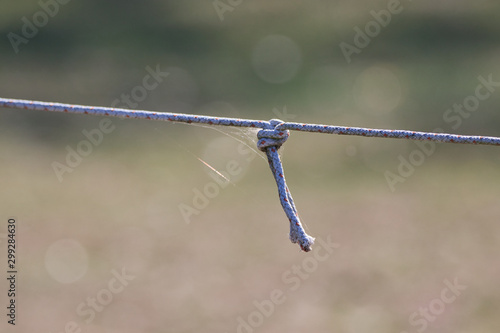 empty wire in the nature