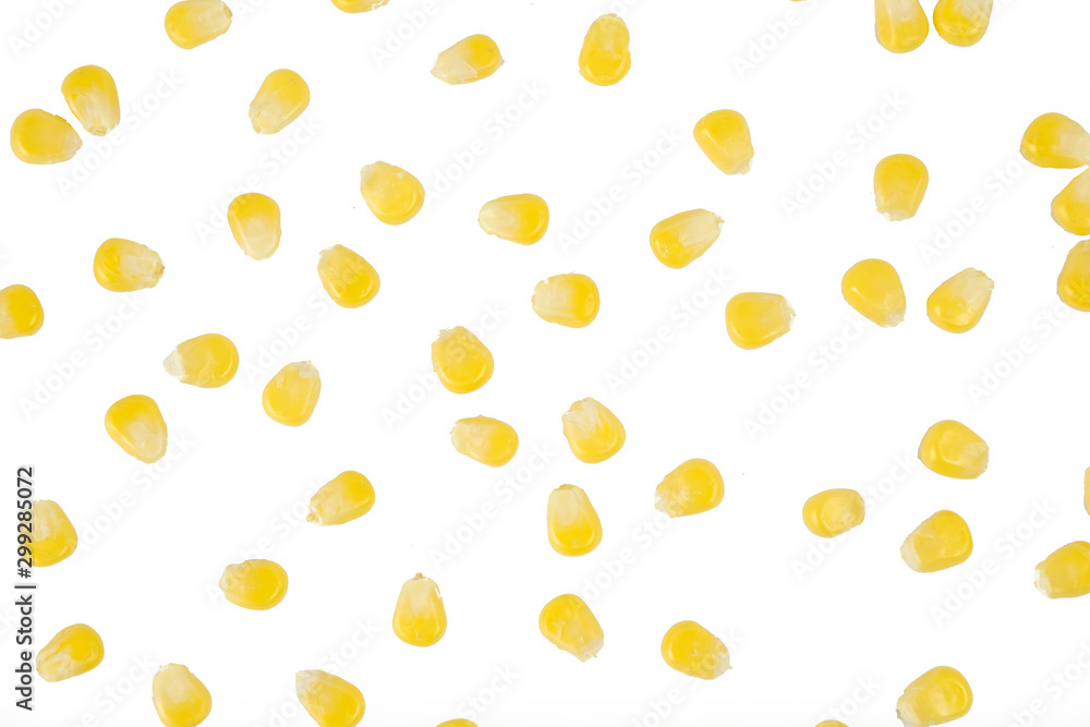 Yellow corn seeds and sunflower seeds on a white background, top view Yellow corn seeds and sunflower seeds on a white background, top view