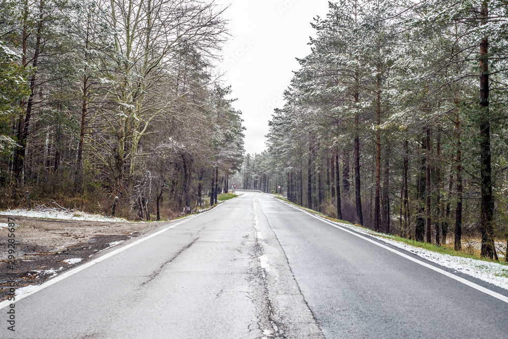 carretera nevada a través de un bosque en invierno