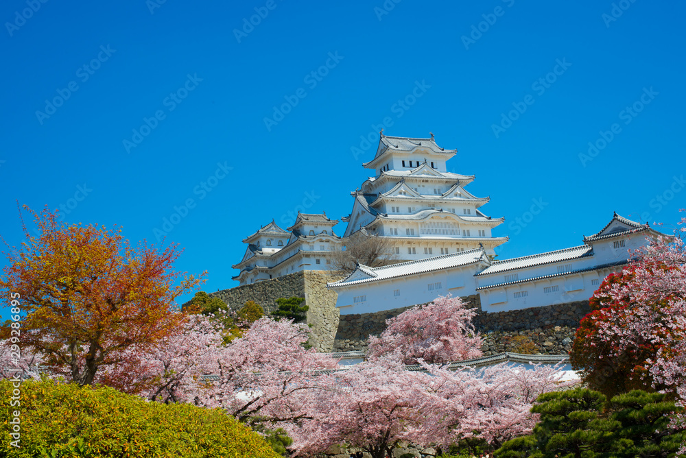 Cherry Blossom season in Himeji Castle, Hyogo, Kansai, Japan. Cherry Blossom season in Himeji Castle, Hyogo, Kansai, Japan.