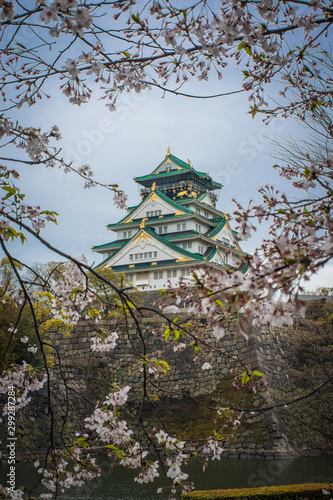 Osaka castle with cherry blossoms