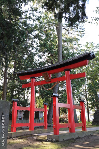 Fototapeta Naklejka Na Ścianę i Meble -  久伊豆神社の鳥居