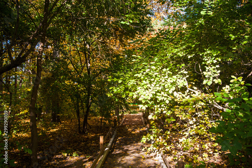 Sunny autumn day in the city park