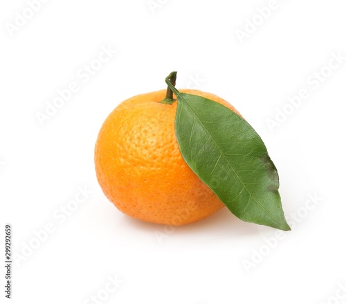 Mandarins with fresh green sprig isolated on white background