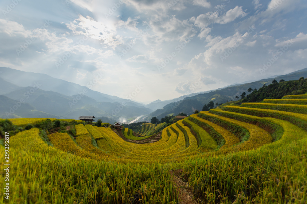 Fototapeta premium beautiful view of rice terrace (Doi Mong Ngua, diem chup lua view point) in Mu Cang Chai, Vietnam, farmer implant on high mountain. soft focus.