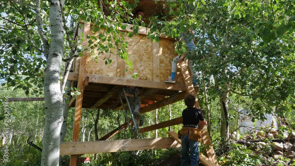 Young boy with a tool belt handing boards up a tree house Young boy with a tool belt handing boards up a tree house