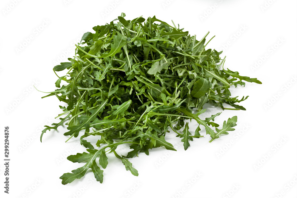 rocket salad, argula salad, garden rocket, Eruca vesicaria, Eruca sativa, isolated on white background rocket salad, argula salad, garden rocket, Eruca vesicaria, Eruca sativa, isolated on white background