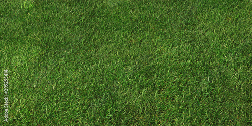 Fototapeta Naklejka Na Ścianę i Meble -  green grass background