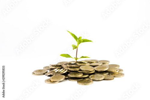plant growing out of coins isolated on white
