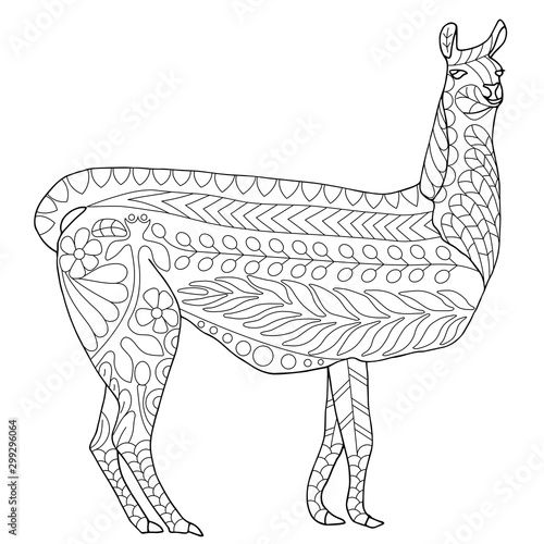 Vicuna zentangle coloring page vector illustration for children and adults