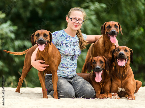 Valokuvatapetti Smiling girl and four happy cheerful Rhodesian Ridgeback dog
