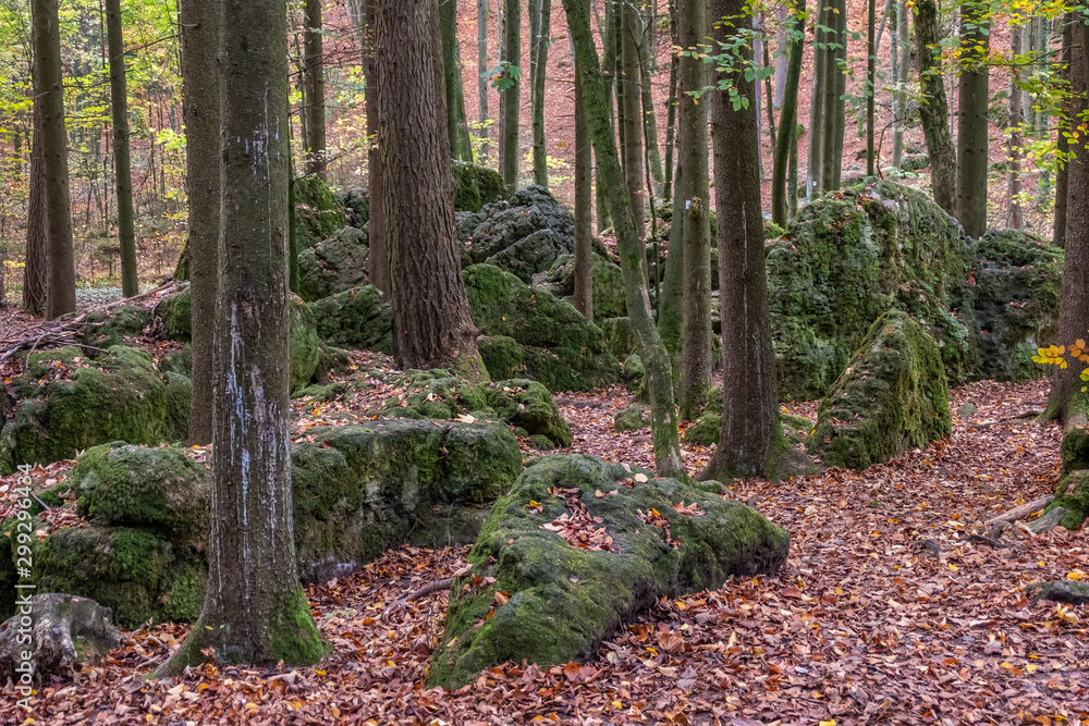 Geheimnissevolle Landschaft des Druidenhaines in der Fränkischen Schweiz Geheimnissevolle Landschaft des Druidenhaines in der Fränkischen Schweiz