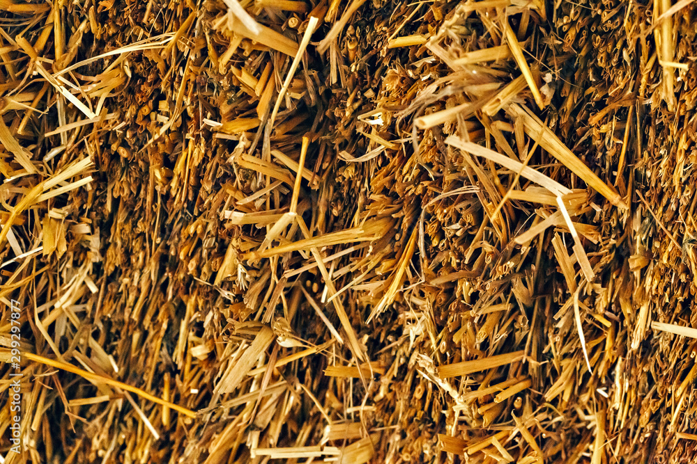 Background of a dried straw bale close-up Background of a dried straw bale close-up