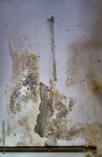 Mold on the wall over a radiator. Vertical photo.