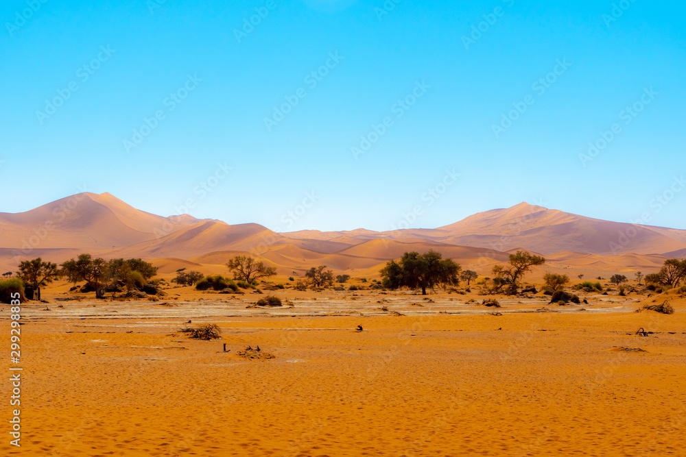 Désert de Sossusvlei en Namibie, Afrique