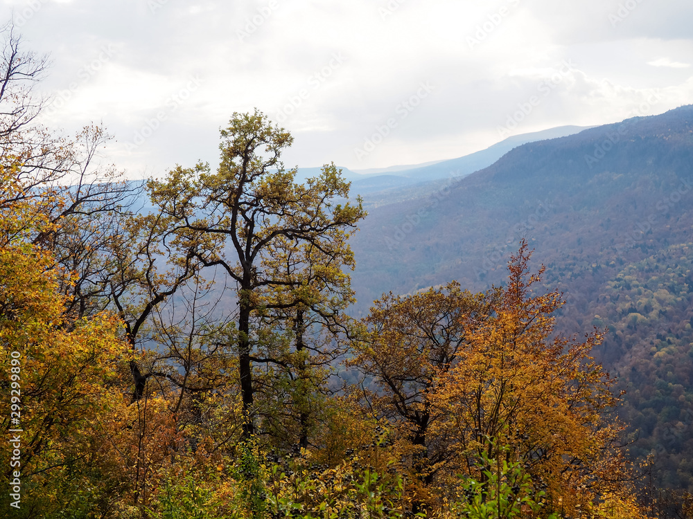 Fototapeta premium autumn landscape, yellow trees, hills, space for text and autumn postcard