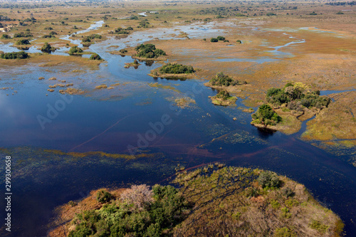 Aerial view - Okavango Delta - Botswana © mrallen