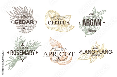 Herbs spices and fruit isolated icon with lettering plant and food