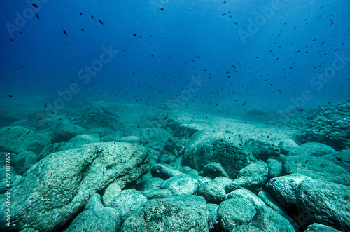 Rock underwater on the seabed in the Mediterranean sea  natural scene. Underwater photography.