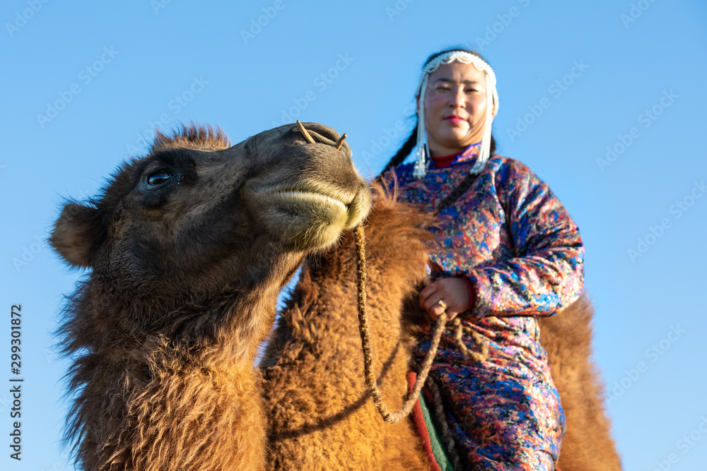 Obraz premium Woman in traditional Mongolian attire with her bactrian camel. Gobi desert, Mongolia.