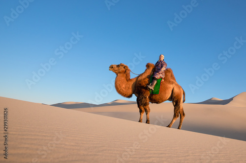 Woman in traditional Mongolian attire with her bactrian camel. Gobi desert, Mongolia. photo