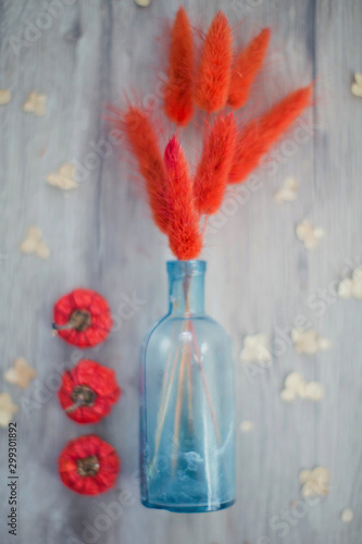 Fototapeta Naklejka Na Ścianę i Meble -  red dried grass in blue glass vase and small pumpkins