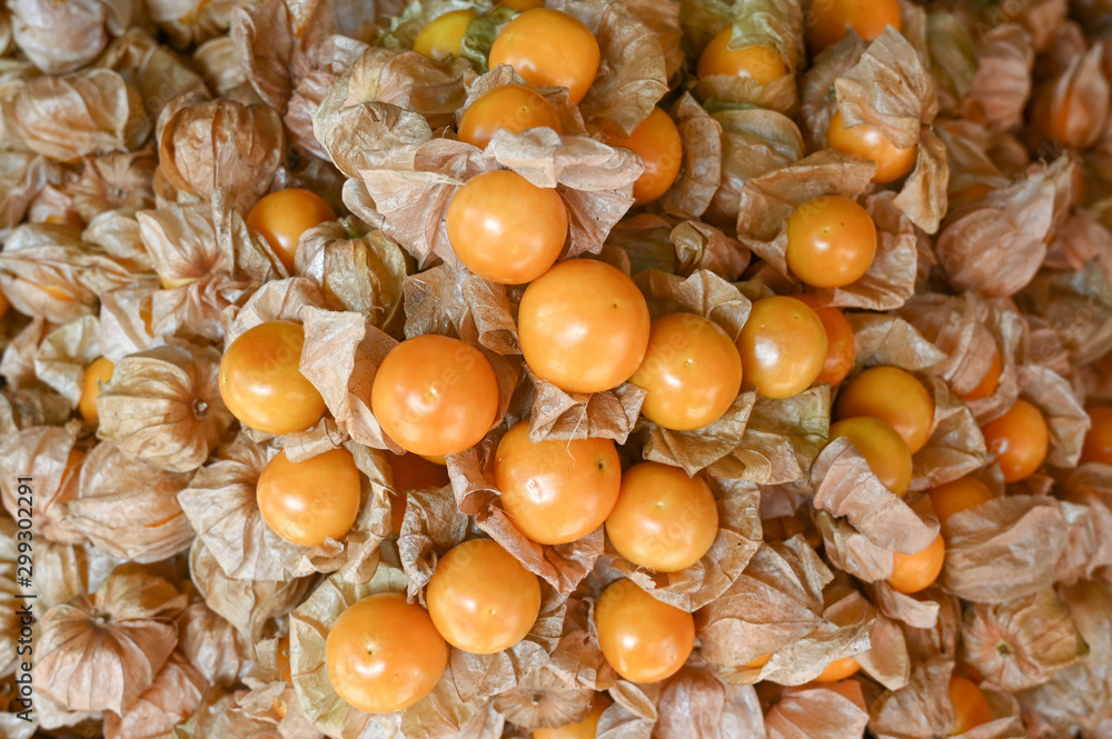 Many gooseberries in orange with brown peel are in the basket. Some still cover with thin brown peel. Many gooseberries in orange with brown peel are in the basket. Some still cover with thin brown peel.