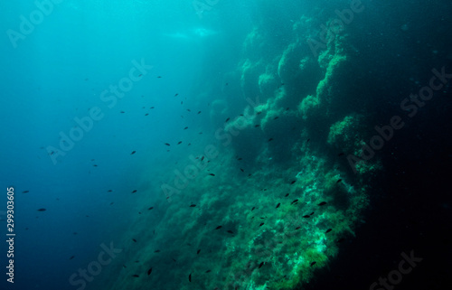 Rock underwater on the seabed in the Mediterranean sea, natural scene. Underwater photography.
