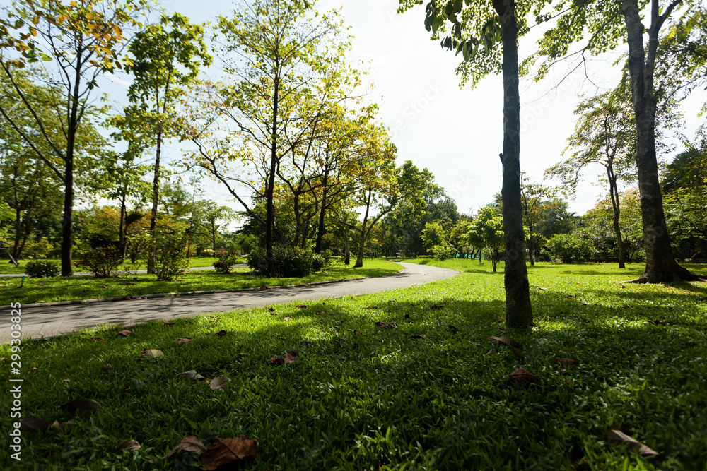 Obraz premium the trees are fertile in the rainy season